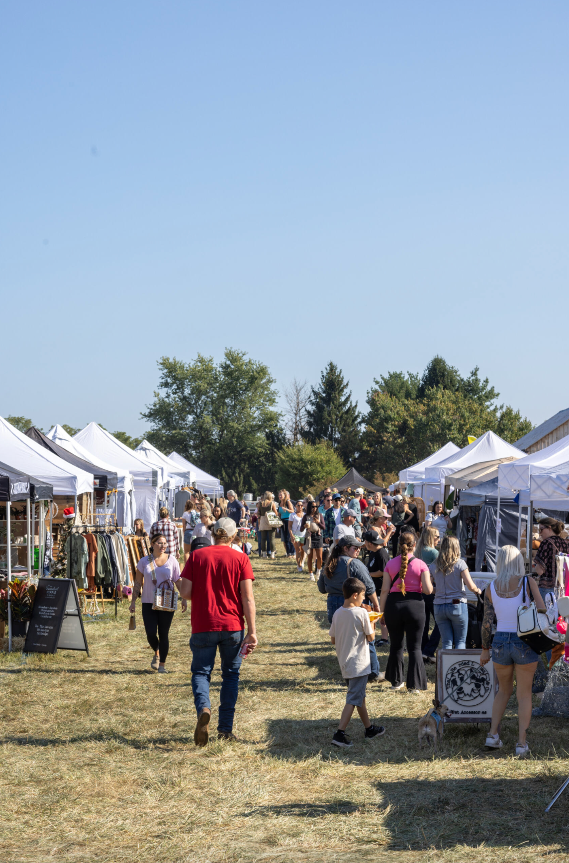 Gray Apple Spring Market