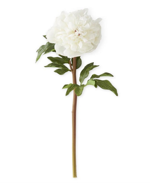 Charm Real Touch Peony Stem