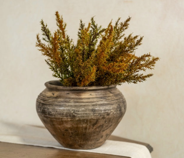 Brown & Gold Prickly Pine Bush