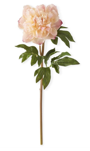 Charm Real Touch Peony Stem