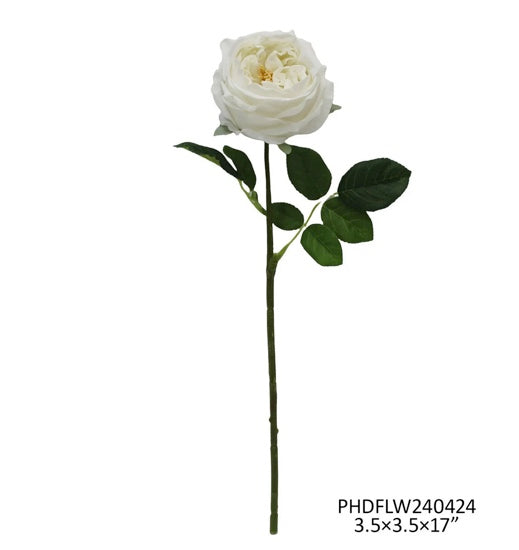 White Austin Rose Stem