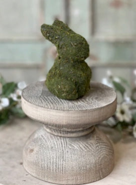 Mossy Bunny