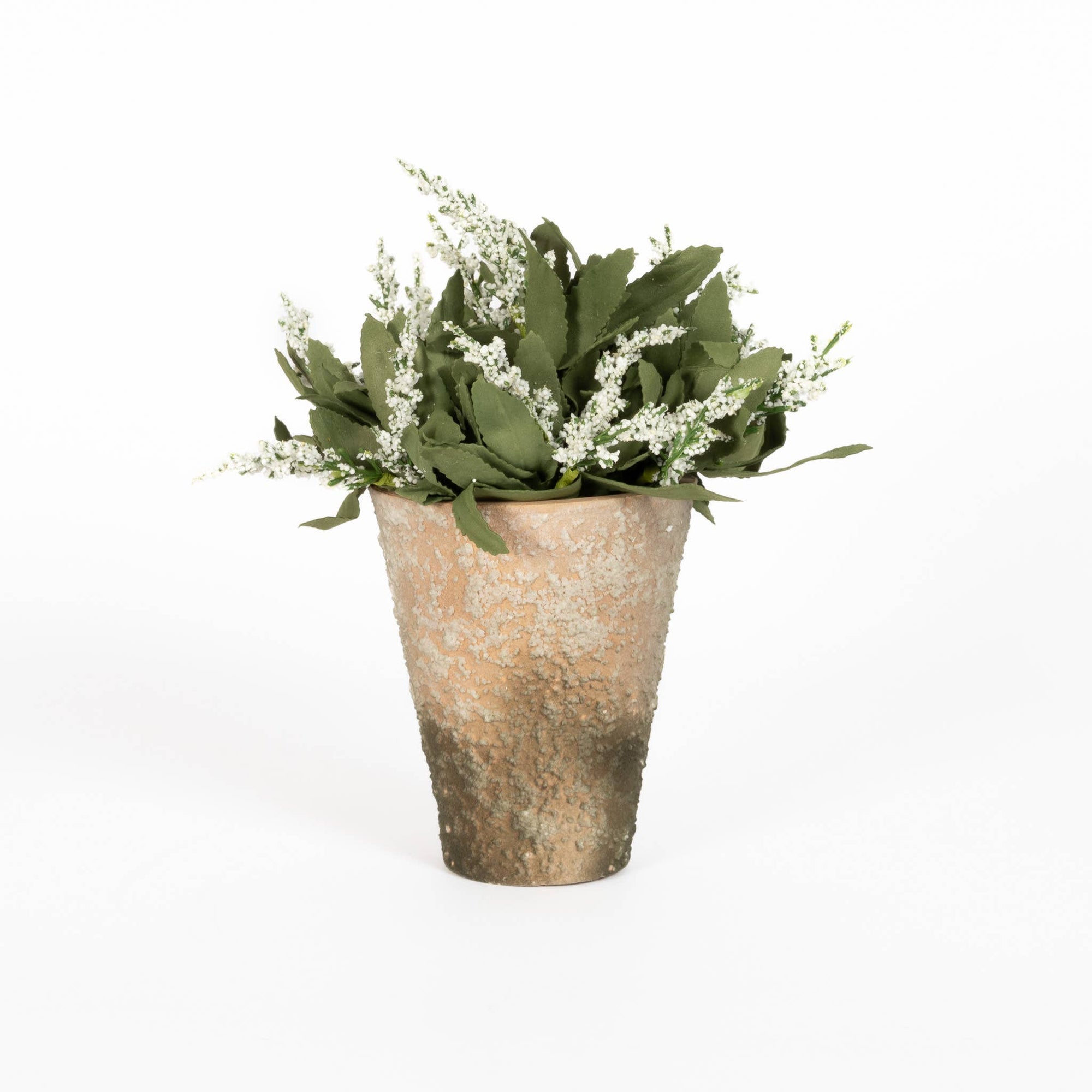 Potted Lavender Bloom