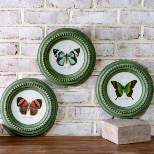 Butterfly Framed Art
