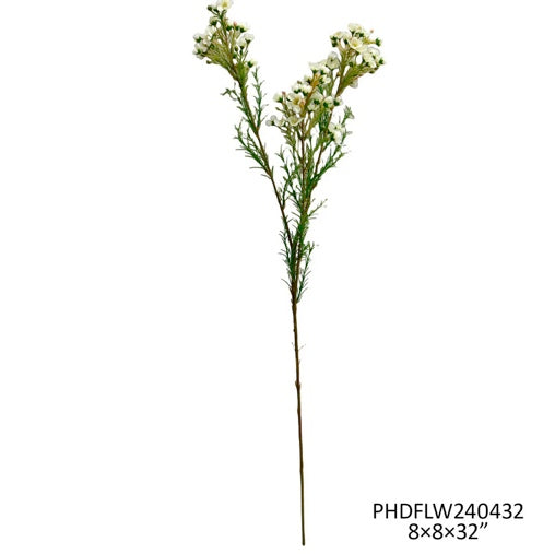 White Waxflower Stem