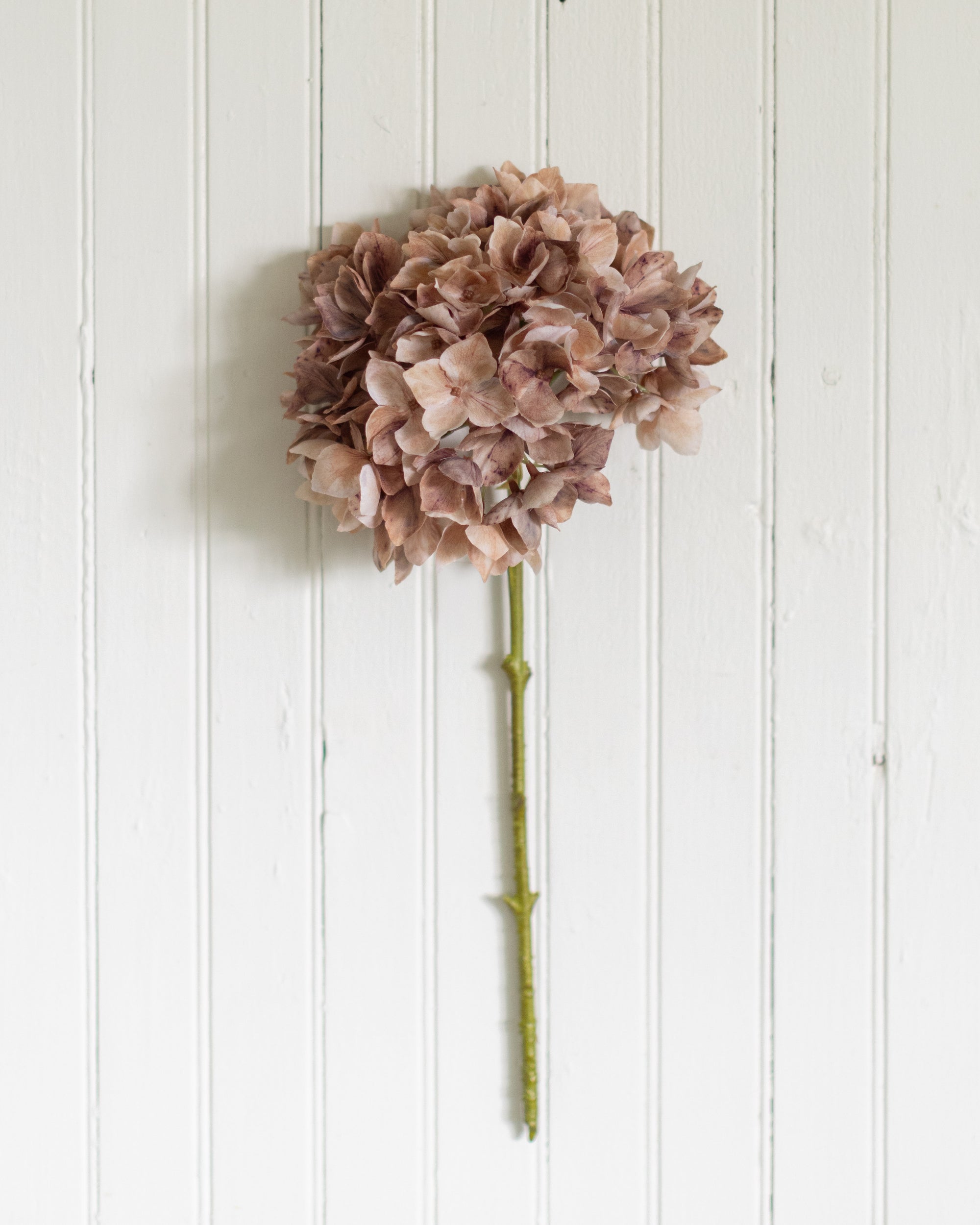 Hydrangea Stem - Antique Brown