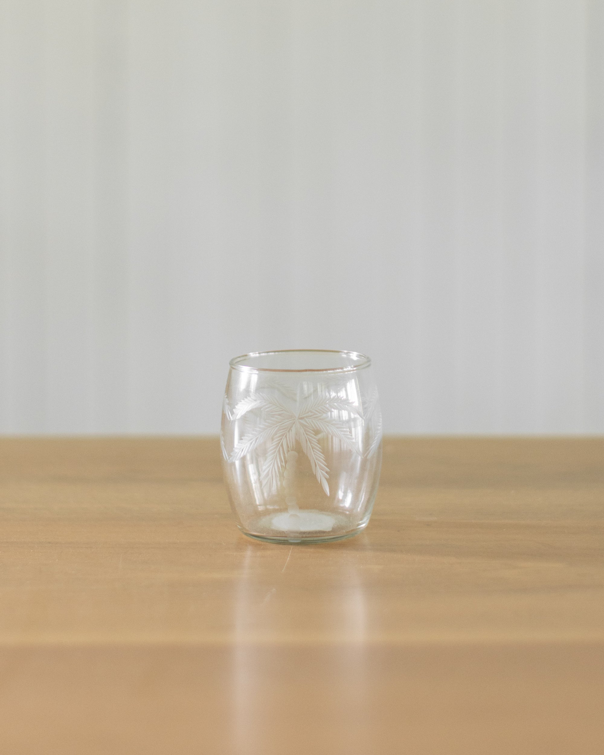 8 oz. Etched Drinking Glass with Palm Trees