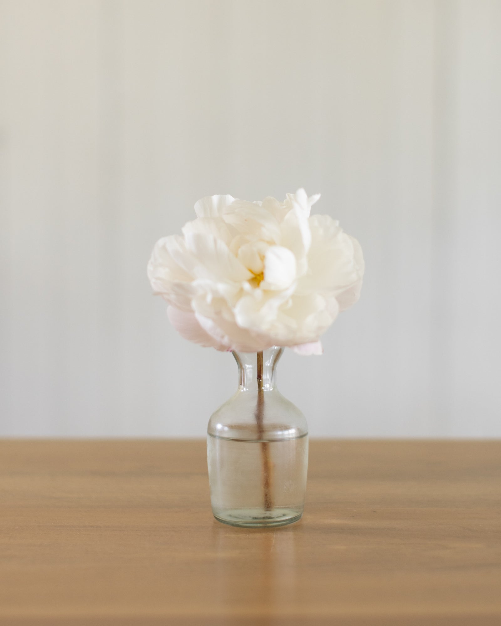 Clear Bud Vase