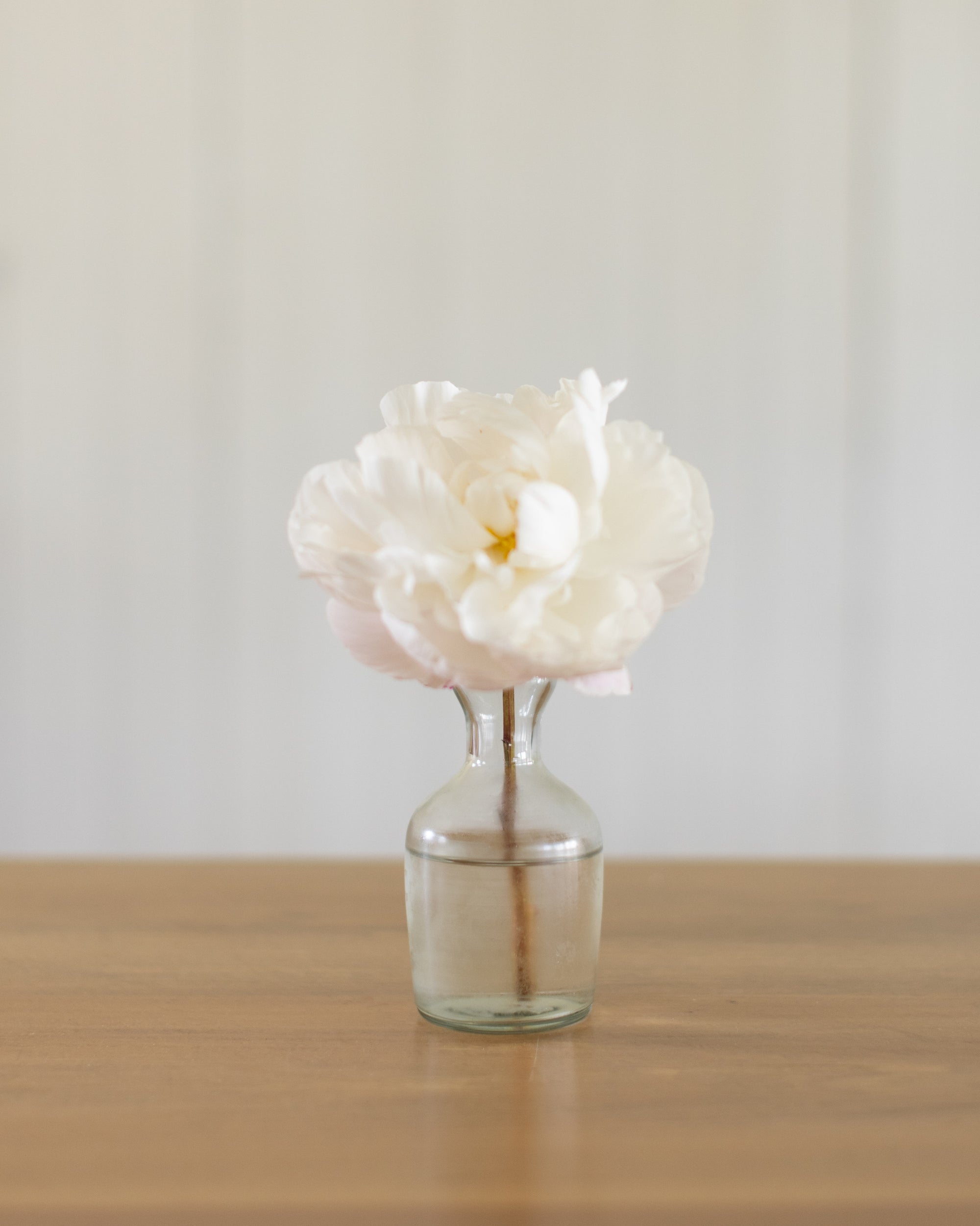 Clear Bud Vase