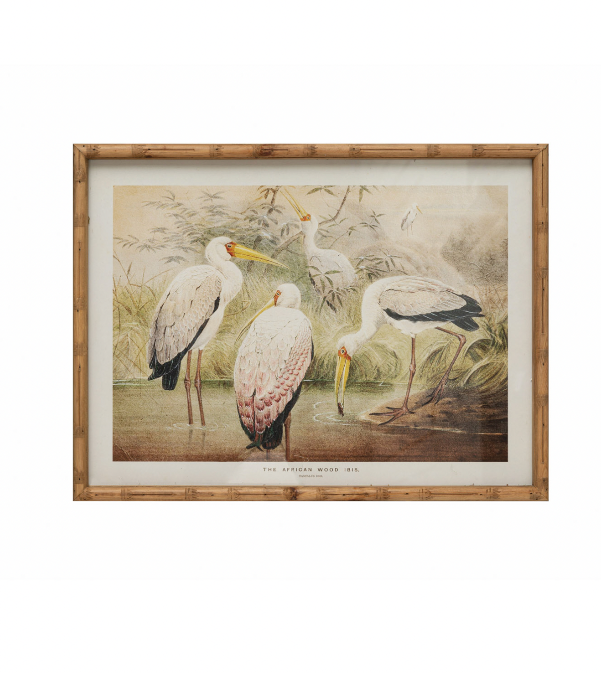 Bamboo Framed Vintage Storks Art