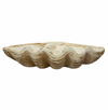 Clamshell Bowl