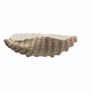 Stoneware Shell Dish