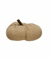 Fabric Pumpkin