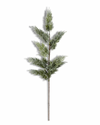 Frosted Juniper Stem
