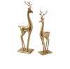 Vixen Reindeer