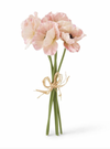 Pink Poppy Bundle