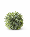 Eucalyptus Ball