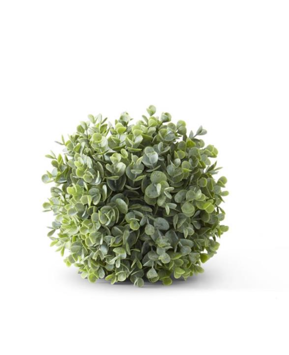 Eucalyptus Ball