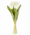 White Tulip Bundle