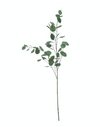Faux Eucalyptus