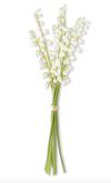 Lilly of the Valley Bunch