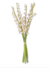 Lilly of the Valley Bunch