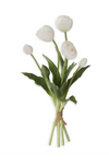 Tulip Bloom &amp; Bud Bunch