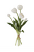 Tulip Bloom & Bud Bunch