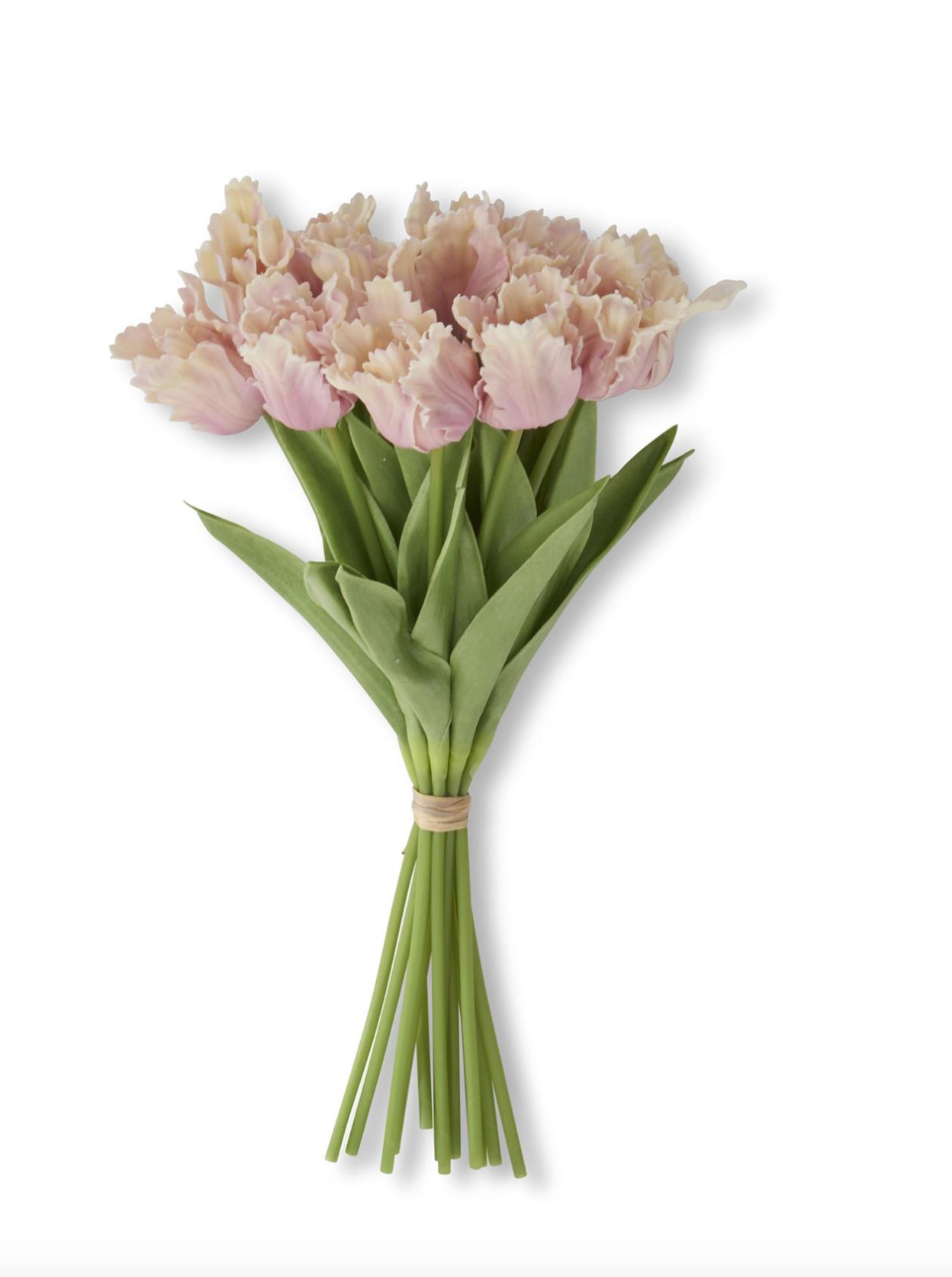 Parrot Tulip Bunch