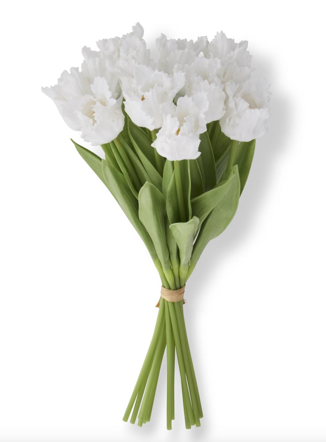 Parrot Tulip Bunch