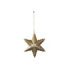 Metal Star Ornament