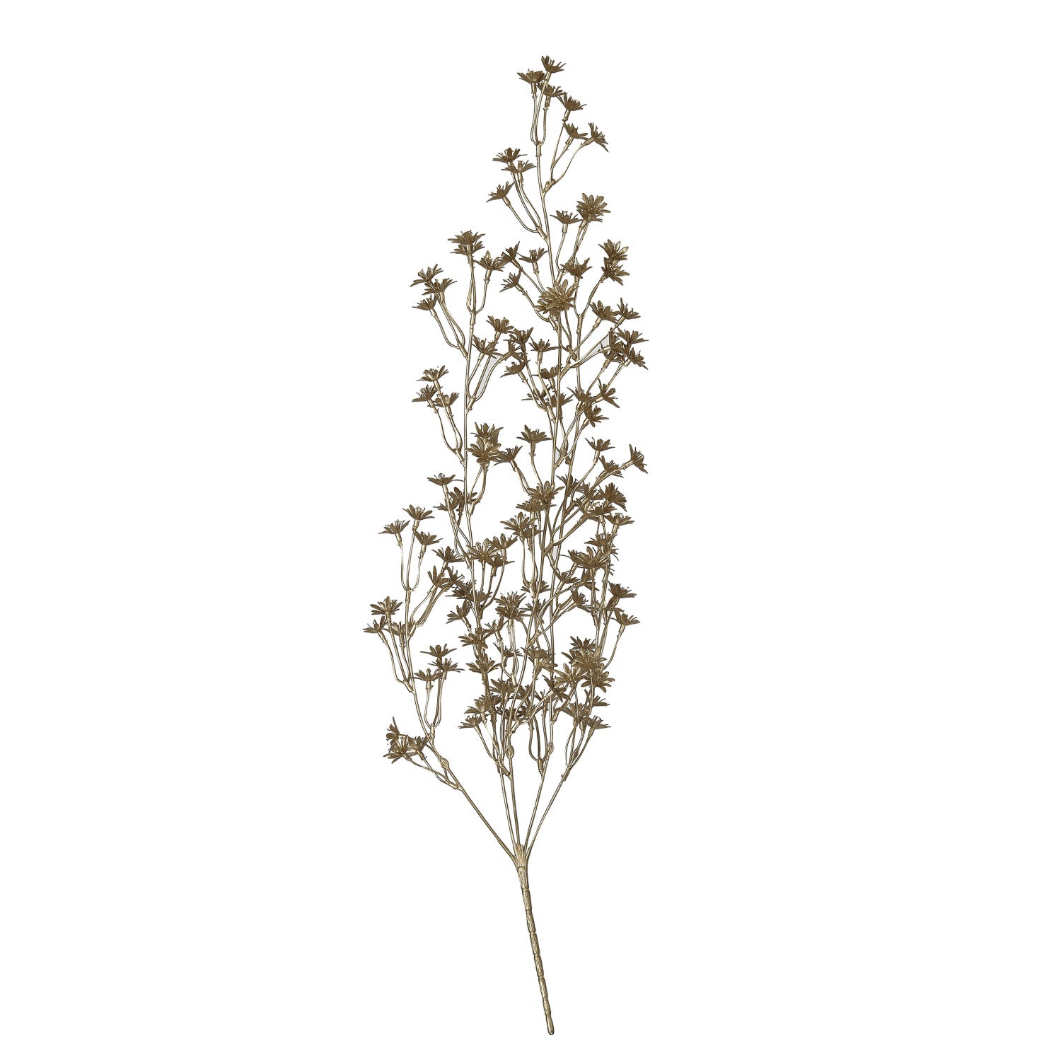 Winter Jasmine Spray