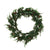Juniper & Pine Wreath