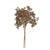 Gold Botanical Stem Bunch