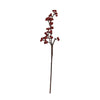 Red Berry Stem