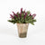 Potted Lavender Bloom