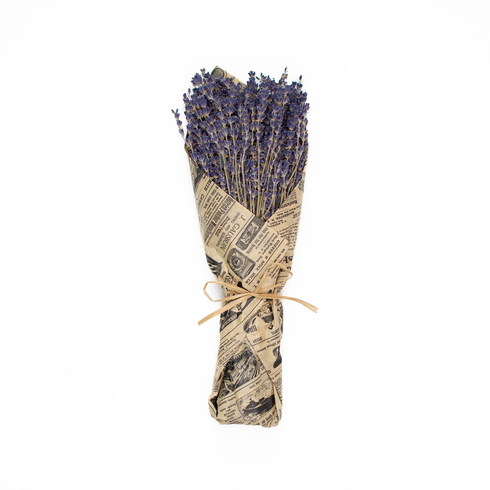 French Lavender Wrapped In Tissue