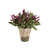 Potted Lavender Bloom