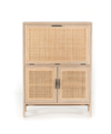 Zara Bar Cabinet