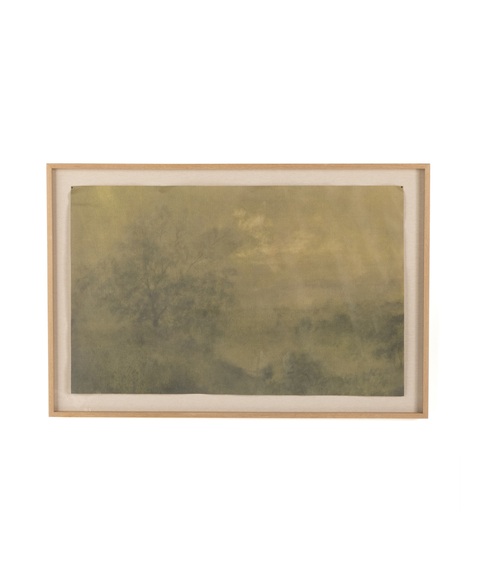 Expanse by Aileen Fitzgerald