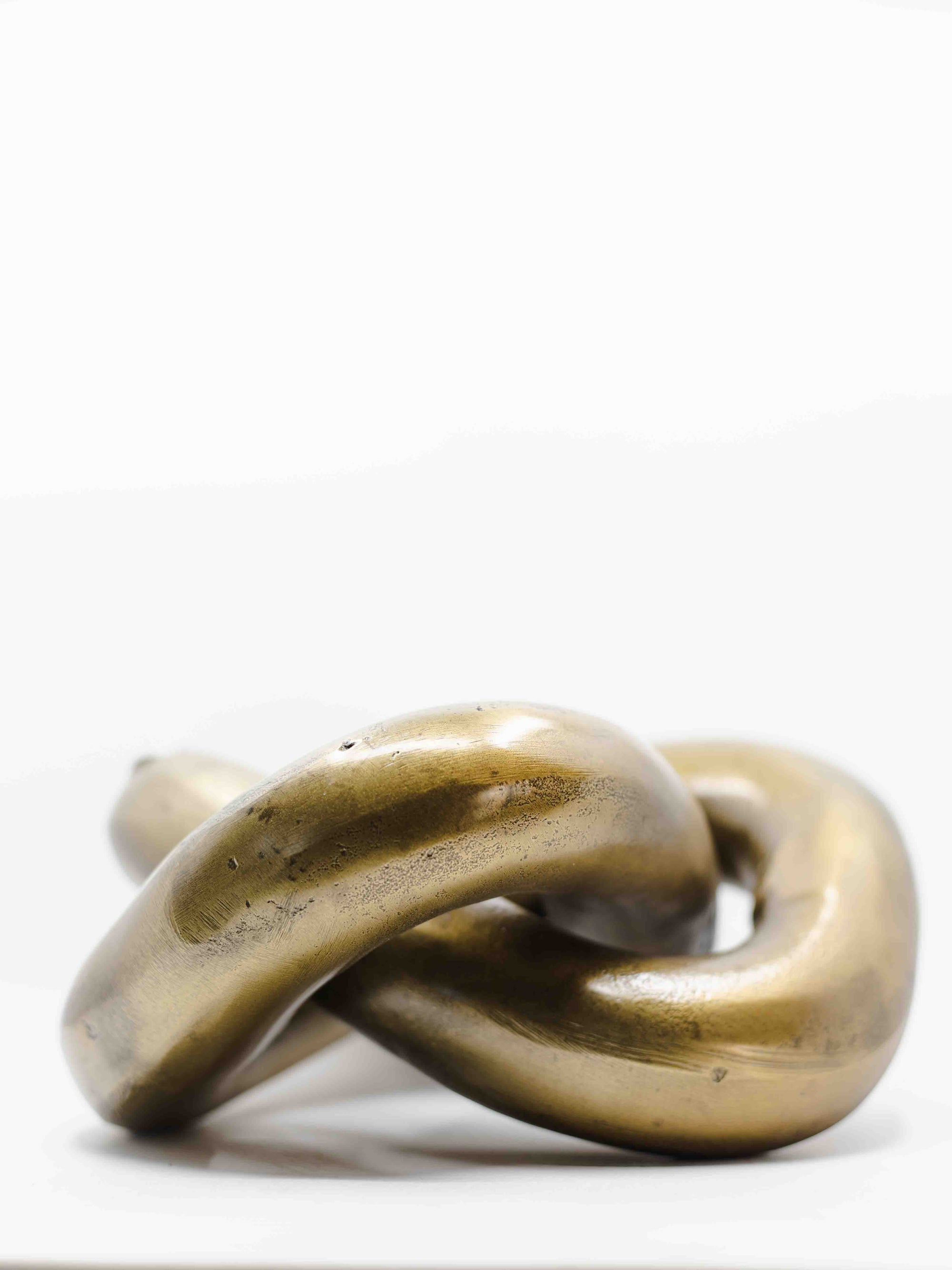 Infinity Knot