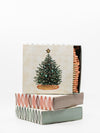 Safety Matches in Holiday Box