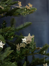 Glitter Star Garland