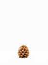 Pinecone Tea Lights