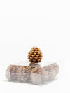 Pinecone Tea Lights