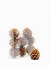 Pinecone Tea Lights