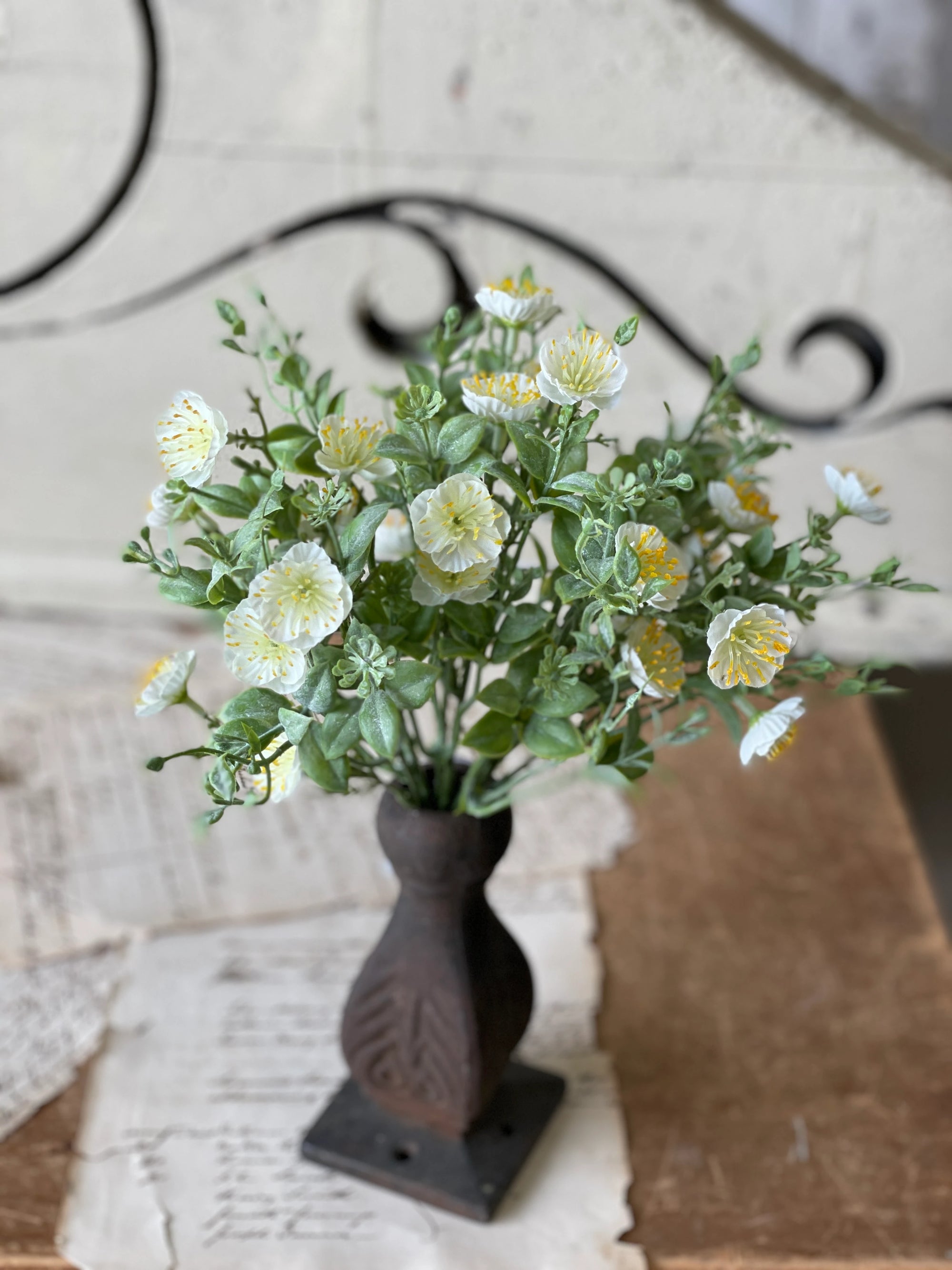 Evening Primrose Bush