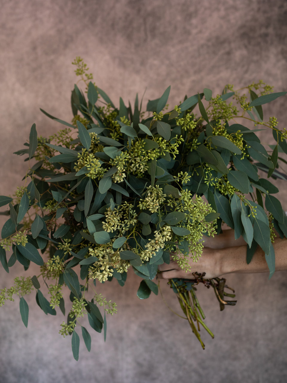 Seeded Eucalyptus Bunch