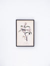 Bird and Flower Wall Decor