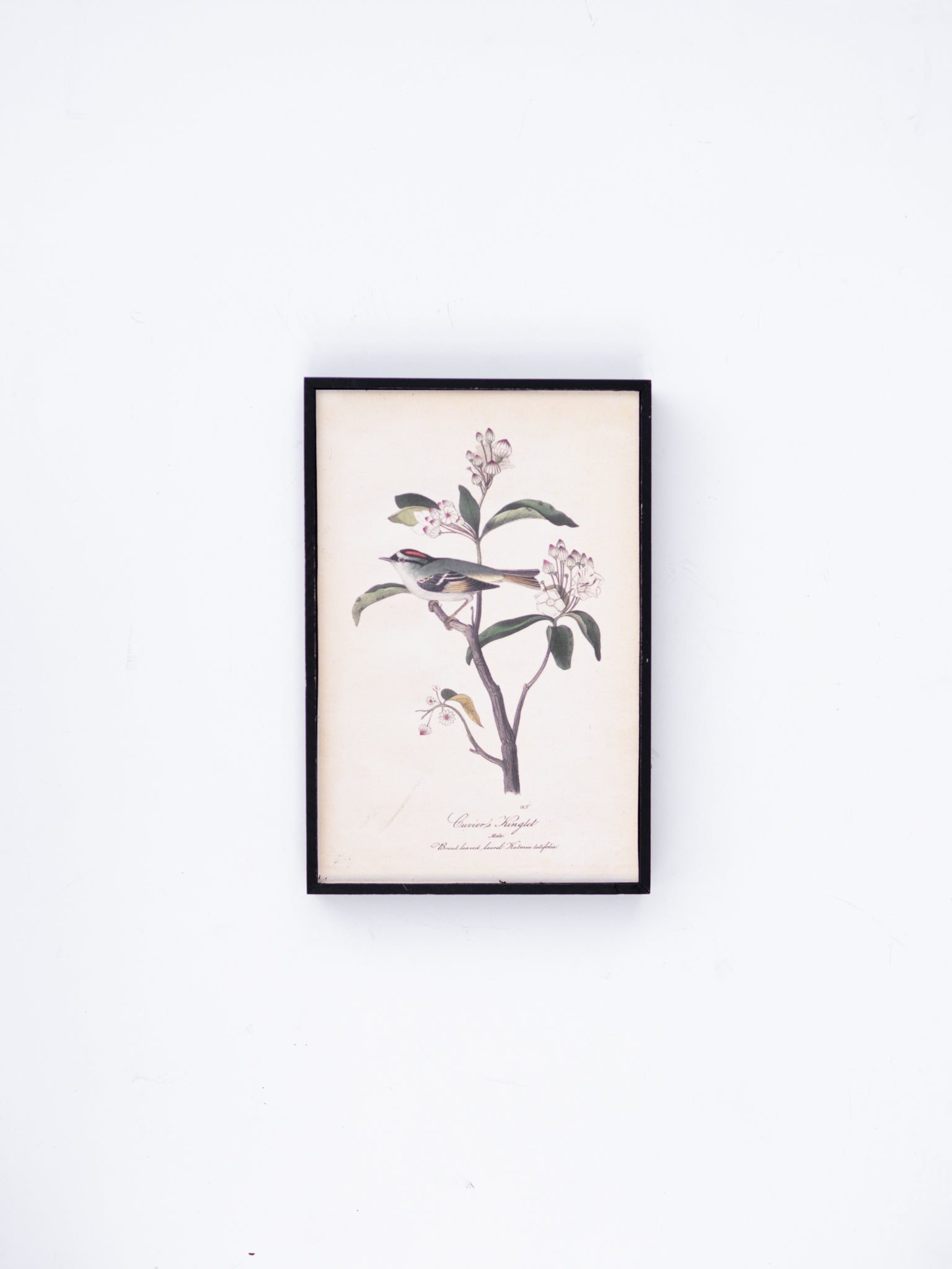 Bird and Flower Wall Decor